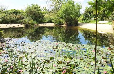 Zámeček na prodej Gémozac, Nouvelle-Aquitaine, Der Teich mit Sandstrand