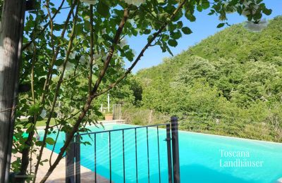 Landhus købe Gaiole in Chianti, Toscana, RIF 3003 Weg zum Pool
