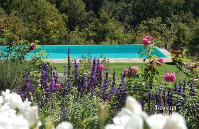 Landhus købe Gaiole in Chianti, Toscana, RIF 3003 Pool