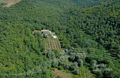 Landhus købe Gaiole in Chianti, Toscana, RIF 3003 Vogelperspektive