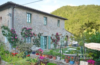 Landhus købe Gaiole in Chianti, Toscana, RIF 3003 Ansicht