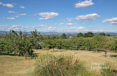 Stuehus købe Sarteano, Toscana, RIF 3009 Panoramablick