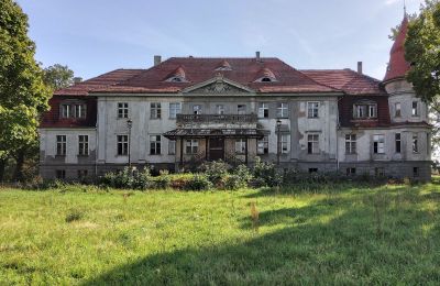 Slot købe Karczewo, województwo wielkopolskie, Udvendig visning