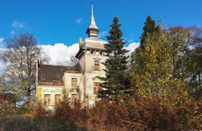 Historická vila na prodej Lubsko, Milosza 2, województwo lubuskie, Foto 1/7