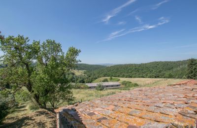 Stuehus købe Asciano, Toscana, RIF 2982 Blick auf Landschaft