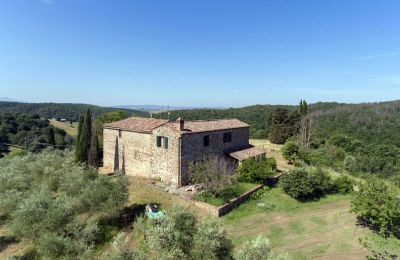 Stuehus købe Asciano, Toscana, RIF 2982 Ansicht Anwesen