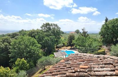 Landhus købe Monte San Savino, Toscana, RIF 3008 Pool und Umgebung