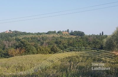 Stuehus købe Sinalunga, Toscana, RIF 3032 Blick auf Rustico