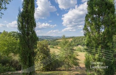 Statek na prodej 06019 Umbertide, Umbria, RIF 3050 Ausblick