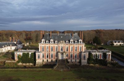 Ejendomme, Storslået slot nær Paris med 59 hektar jord