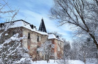 Zámek na prodej Komorowice, Wrocławska 27, Dolní Slezsko, Foto 1/36