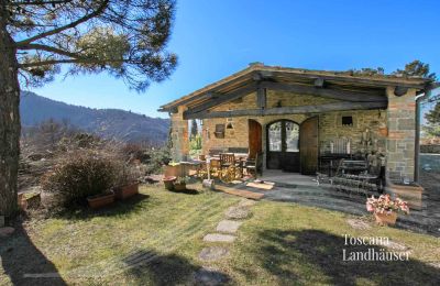 Landhus købe Gaiole in Chianti, Toscana, RIF 3041 Dependance