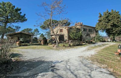 Landhus købe Gaiole in Chianti, Toscana, RIF 3041 Zufahrt