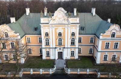 Zámek na prodej Czempiń, Velkopolské, Foto z dronu