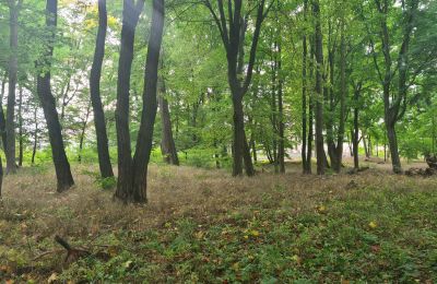 Zámeček na prodej Chojne, województwo łódzkie, Park