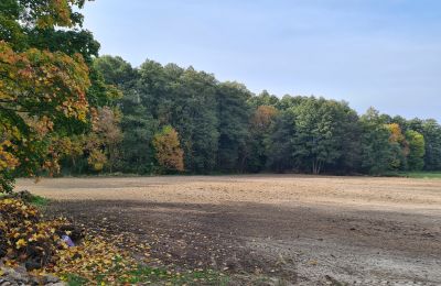 Zámeček na prodej Chojne, województwo łódzkie, Park