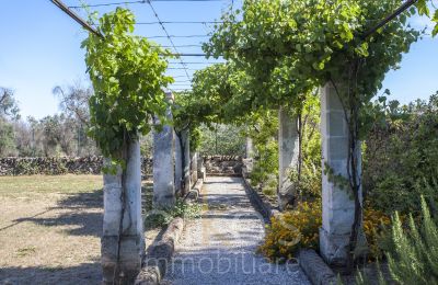 Historická vila na prodej Oria, Puglia, Foto 29/34