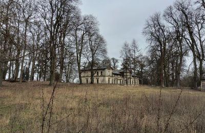 Slot købe Stradzewo, Pałac w Stradzewie, województwo zachodniopomorskie, Park