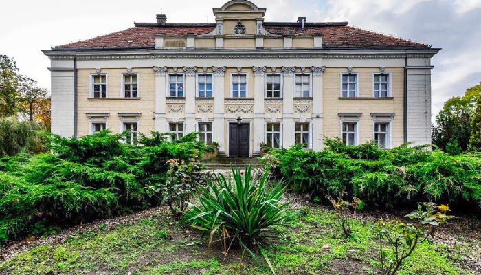 Zámek na prodej Gola, Velkopolské,  Polsko