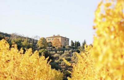 Historisk villa købe 06063 Magione, Umbria, Billede 16/18