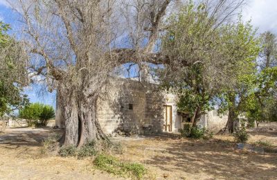 Zámeček na prodej Oria, Puglia, Foto 27/28