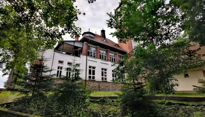 Historisk villa Karlovy Vary 3