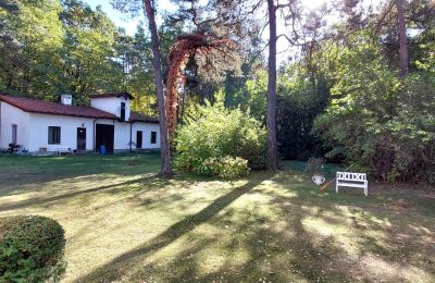 Historisk villa købe Baniocha, województwo mazowieckie, Billede 17/18