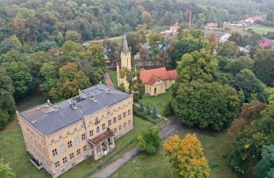 Zámek na prodej powiat gorzowski, gmina Witnica, Dąbroszyn, Pałac w Dąbroszynie, województwo lubuskie, © Stowarzyszenie Templum