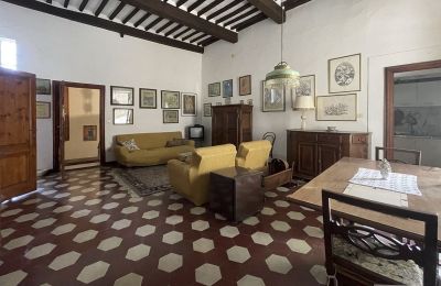 Historisk villa købe Santo Pietro Belvedere, Toscana, Billede 4/14