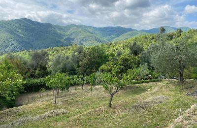 Venkovský dům na prodej Onzo, Liguria, Foto 21/31