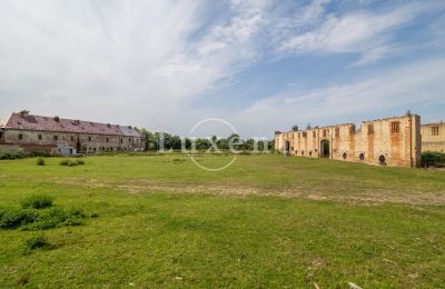 Slot købe Kounice, Zámek Kounice, Středočeský kraj, Zámek Kounice 2024