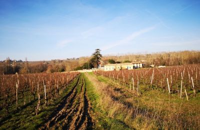 Zámek na prodej Blaye, Nouvelle-Aquitaine, Foto 12/14