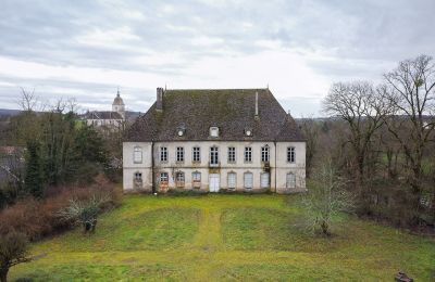 Zámek na prodej Besançon, Bourgogne-Franche-Comté, Pohled zvenku