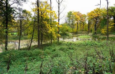 Hrad na prodej Zagórzany, województwo małopolskie, Jezero/rybník