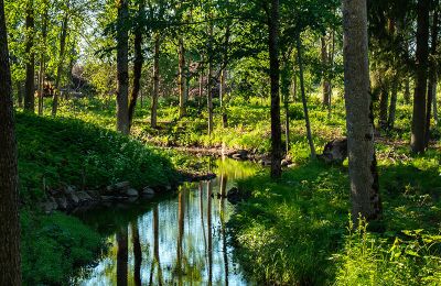 Herregård købe Virķēni, virķēnu muiža, Vidzeme, Billede 9/17