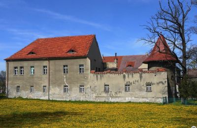 Nemovitosti, Starý zámek v Polsku u Wałbrzychu