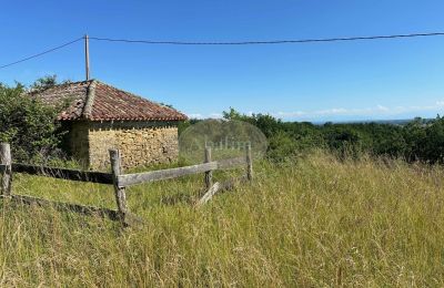 Historická nemovitost na prodej Mirande, Occitanie, Foto 27/45