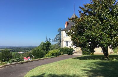 Zámeček na prodej Pau, Nouvelle-Aquitaine, Foto 15/19