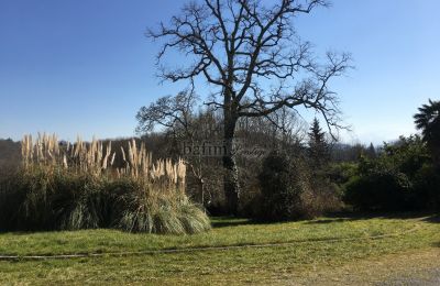 Zámek na prodej Pau, Nouvelle-Aquitaine, Park