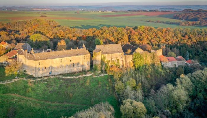 Zámek na prodej Roussy-le-Bourg, Grand-Est,  Francie