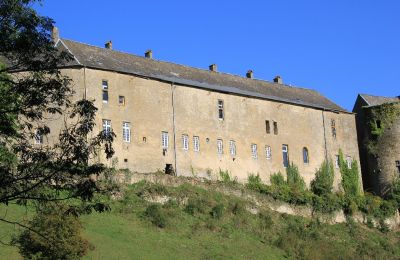 Zámek na prodej Roussy-le-Bourg, Grand-Est, Pohled zezadu