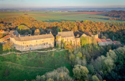 Zámek na prodej Roussy-le-Bourg, Grand-Est, Umístění nemovitosti