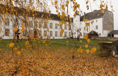 Zámek na prodej Roussy-le-Bourg, Grand-Est, Pohled zvenku