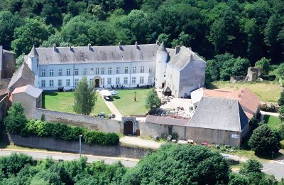 Zámek na prodej Roussy-le-Bourg, Grand-Est, Château de Roussy-Comté