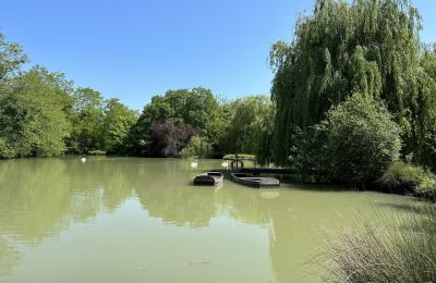 Zámek na prodej Centre-Val de Loire, Jezero/rybník