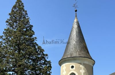 Zámek na prodej Centre-Val de Loire, Podrobnosti