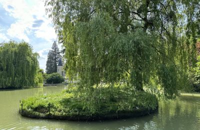 Zámek na prodej Centre-Val de Loire, Park