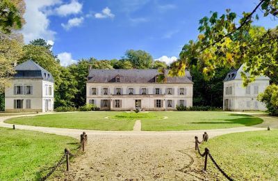 Zámek na prodej Bourgogne-Franche-Comté, Foto 1/14