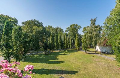 Zámek na prodej Mgowo, Pałac w Mgowie, województwo kujawsko-pomorskie, Park