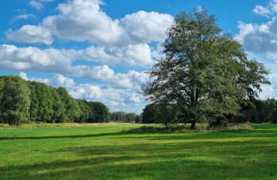 Zámeček na prodej 18461 Grenzin, Meklenbursko-Přední Pomořansko, Wiese links